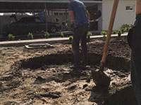 Установка септика в П'ятихатках